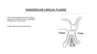MANDIBULAR LINGUAL FLANGE
The most desirable feature of the lingual
slope of the mandible is that it approaches
90 degrees to occlusal plane
It effectively resists horizontal forces
 