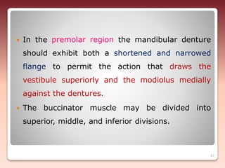  In the premolar region the mandibular denture
should exhibit both a shortened and narrowed
flange to permit the action that draws the
vestibule superiorly and the modiolus medially
against the dentures.
 The buccinator muscle may be divided into
superior, middle, and inferior divisions.
47
 