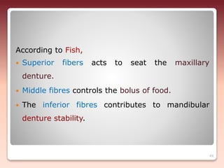 According to Fish,
 Superior fibers acts to seat the maxillary
denture.
 Middle fibres controls the bolus of food.
 The inferior fibres contributes to mandibular
denture stability.
49
 