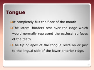 Tongue
It completely fills the floor of the mouth
The lateral borders rest over the ridge which
would normally represent the occlusal surfaces
of the teeth.
The tip or apex of the tongue rests on or just
to the lingual side of the lower anterior ridge.
57
 