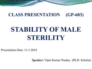 STABILITY OF MALE
STERILITY
Speaker: Vipin Kumar Pandey (Ph.D. Scholar)
CLASS PRESENTATION (GP-603)
Presentation Date: 11-1-2018
 