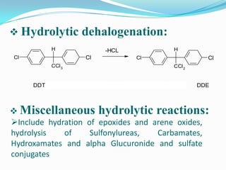  Hydrolytic       dehalogenation:
           H            -HCL           H
Cl                 Cl          Cl                Cl
           CCl 3                       CCl 2


     DDT                                       DDE



 Miscellaneous hydrolytic reactions:
Include hydration of epoxides and arene oxides,
hydrolysis   of     Sulfonylureas,  Carbamates,
Hydroxamates and alpha Glucuronide and sulfate
conjugates
 
