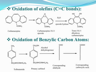  Oxidation of olefins (C=C bonds):
                                  O                               HO       OH

                                                 H2O

         N
                                 N              epoxide hydrase        N
         CONH2                    CONH2                                 CONH2

Carbamazepine             Carbamazepine-10,11                     Trans-10,11
                          epoxide                                 dihydroxy
                                                                  carbamazepine

 Oxidation of Benzylic Carbon Atoms:
                     CH2OH                         CHO                     COOH
   CH3
                              Alcohol
                              dehydrogenase




   SO2NHCONHC4H9      SO2NHCONHC4H9
                                          Corresponding                Corresponding
                                          aldehyde                     carboxylic acid.
      Tolbutamide   Prmary carbinol
 