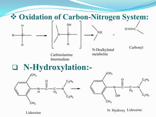  Oxidation of Carbon-Nitrogen System:
    H                                 OH
                                                                        O        C
                                               NH
N   C                         N       C                    +

    H                                 H
                                                                            Carbonyl
                                             N-Dealkylated
                        Carbinolamine        metabolite
                        Intermediate

   N-Hydroxylation:-                                CH3
          CH3
                                                                    O                    C2H5
                    O                 C2H5

                                                           N        C       C        N
                N   C    C        N
                                                                            H2
                H        H2
                                                               OH                        C2H5
                                      C2H5
                                                     CH3
          CH3

                                                     N- Hydroxy Lidocaine
        Lidocaine
 