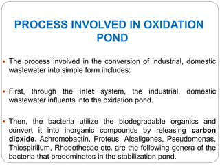 PROCESS INVOLVED IN OXIDATION
POND
 The process involved in the conversion of industrial, domestic
wastewater into simple form includes:
 First, through the inlet system, the industrial, domestic
wastewater influents into the oxidation pond.
 Then, the bacteria utilize the biodegradable organics and
convert it into inorganic compounds by releasing carbon
dioxide. Achromobactin, Proteus, Alcaligenes, Pseudomonas,
Thiospirillum, Rhodothecae etc. are the following genera of the
bacteria that predominates in the stabilization pond.
 