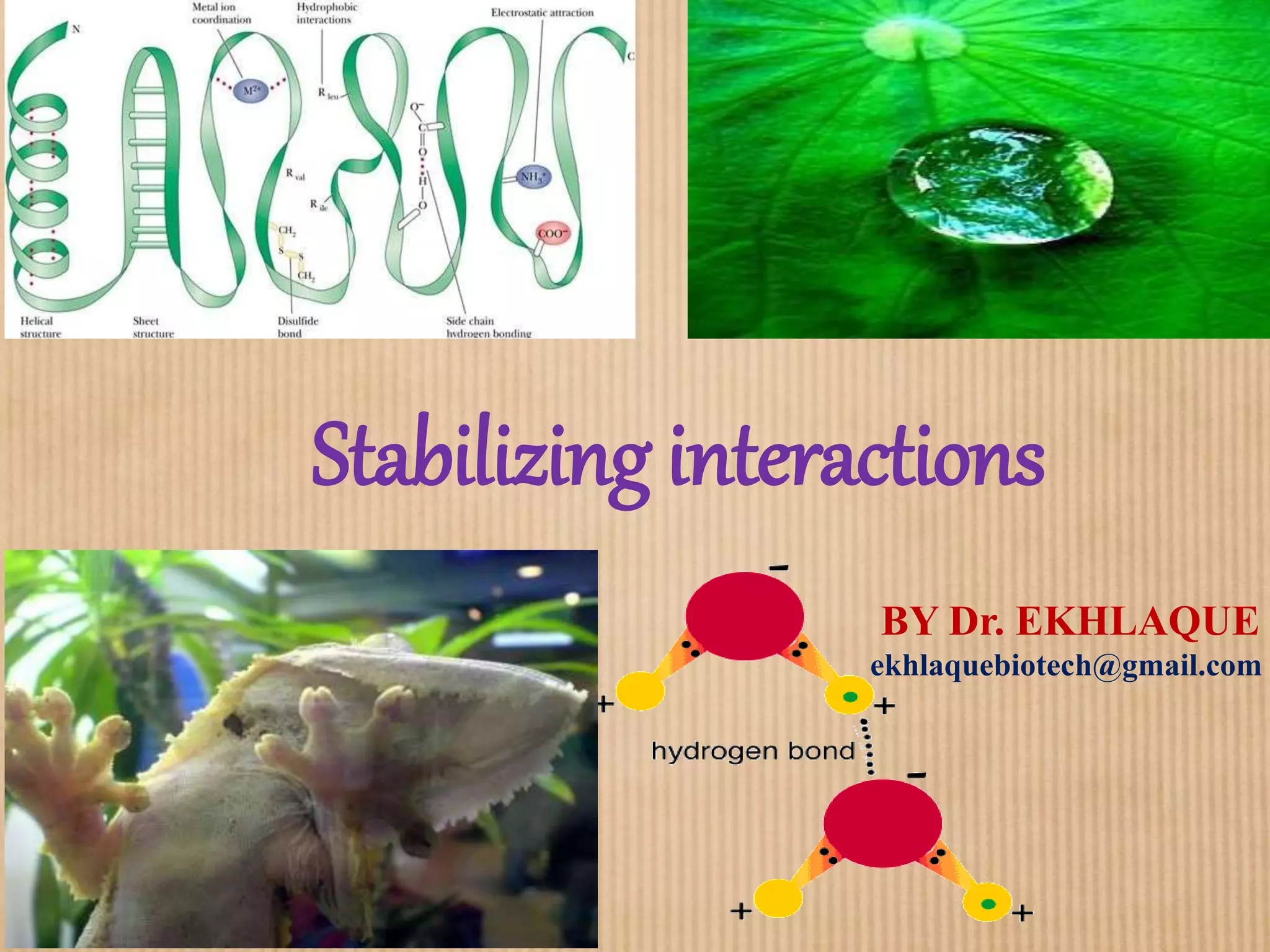 Stabilizing interactions converted