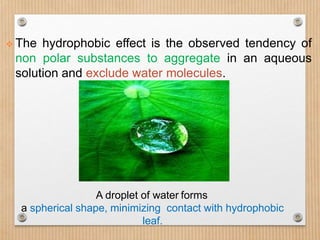 Stabilizing interactions converted
