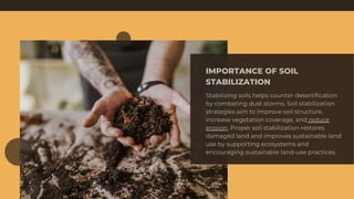 stabilizing-soils-to-prevent-desertification-and-dust-storms-pdf