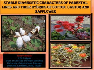 Stable diagnostic characters of parental
lines and their hybrids of cotton, castor and
safflower
Yanal Alkuddsi
II Ph.D (Agri)
Dept. of Genetics and Plant Breeding
University of Agricultural Sciences
Dharwad, Karnataka, India, 580005
 