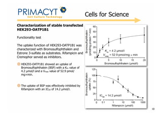 !

Cells for Science

Characterization of stable transfected
HEK293-OATP1B1
Functionality test
The uptake function of HEK293-OATP1B1 was
characterized with Bromosulfophthalein and
Estrone 3-sulfate as substrates. Rifampicin and
Cremophor served as inhibitors.
HEK293-OATP1B1 showed an uptake of
Bromosulfophthalein (BSP) with a Km value of
4.2 µmol/l and a Vmax value of 52.9 pmol/
mg×min.

The uptake of BSP was effectively inhibited by
Rifampicin with an IC50 of 14.2 µmol/l.

10

 