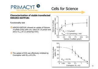 !

Cells for Science

Characterization of stable transfected
HEK293-OATP1B1
Functionality test
HEK293-OATP1B1 showed an uptake of Estrone
3-sulfate (E3S) with a Km value of 1.0 µmol/l and
and a Vmax of 2.2 pmol/mg×min).

The uptake of E3S was effectively inhibited by
Cremophor with IC50 of 0.2%.

11

 