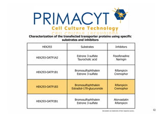 !
Characterization of the transfected transporter proteins using specific
substrates and inhibitors
HEK293

Substrates

Inhibitors

HEK293-OATP1A2

Estrone 3-sulfate
Taurocholic acid

Fexofenadine
Naringin

HEK293-OATP1B1

Bromosulfophthalein
Estrone 3-sulfate

Rifampicin
Cremophor

HEK293-OATP1B3

Bromosulfophthalein
Estradiol-17ß-glucuronide

Rifampicin
Cremophor

HEK293-OATP2B1

Bromosulfophthalein
Estrone 3-sulfate

Atorvastatin
Rifampicin
Atorvastatin are trademarks of their respective owners.

12

 