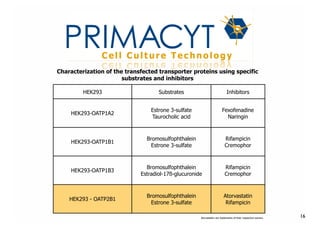 !
Characterization of the transfected transporter proteins using specific
substrates and inhibitors
HEK293

Substrates

Inhibitors

HEK293-OATP1A2

Estrone 3-sulfate
Taurocholic acid

Fexofenadine
Naringin

HEK293-OATP1B1

Bromosulfophthalein
Estrone 3-sulfate

Rifampicin
Cremophor

HEK293-OATP1B3

Bromosulfophthalein
Estradiol-17ß-glucuronide

Rifampicin
Cremophor

HEK293 - OATP2B1

Bromosulfophthalein
Estrone 3-sulfate

Atorvastatin
Rifampicin
Atorvastatin are trademarks of their respective owners.

16

 