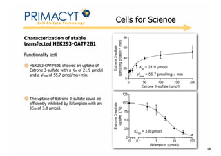 !

Cells for Science

Characterization of stable
transfected HEK293-OATP2B1
Functionality test
HEK293-OATP2B1 showed an uptake of
Estrone 3-sulfate with a Km of 21.9 µmol/l
and a Vmax of 55.7 pmol/mg×min.

The uptake of Estrone 3-sulfate could be
efficiently inhibited by Rifampicin with an
IC50 of 3.8 µmol/l.

19

 