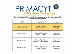 !
Characterization of the transfected transporter proteins using specific
substrates and inhibitors
HEK293

Substrates

Inhibitors

HEK293-OATP1A2

Estrone 3-sulfate
Taurocholic acid

Fexofenadine
Naringin

HEK293-OATP1B1

Bromosulfophthalein
Estrone 3-sulfate

Rifampicin
Cremophor

HEK293-OATP1B3

Bromosulfophthalein
Estradiol 17ß-glucuronide

Rifampicin
Cremophor

HEK293-OATP2B1

Bromosulfophthalein
Estrone 3-sulfate

Atorvastatin
Rifampicin
Atorvastatin are trademarks of their respective owners.

3

 