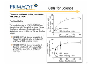 !

Cells for Science

Characterization of stable transfected
HEK293-OATP1A2
Functionality test
The uptake function of HEK293-OATP1A2 was
characterized with Taurocholic acid and Estrone
3-sulfate as substrates. Fexofenadine and
Naringin served as inhibitors of Estrone 3-sulfate
uptake.
HEK293-OATP1A2 showed an uptake of
Taurocholic acid with a Km of 80.5 µmol/l
and Vmax of 20.5 pmol/mg × min.
HEK293-OATP1A2 showed an uptake of
Estron 3-sulfate with a Km value of 23.1
µmol/l and a Vmax value of 87.8 pmol/
mg×min.

6

 