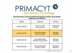 !
Characterization of the transfected transporter proteins using specific
substrates and inhibitors
HEK293

Substrates

Inhibitors

HEK293-OATP1A2

Estrone 3-sulfate
Taurocholic acid

Fexofenadine
Naringin

HEK293-OATP1B1

Bromosulfophthalein
Estrone 3-sulfate

Rifampicin
Cremophor

HEK293-OATP1B3

Bromosulfophthalein
Estradiol 17ß-glucuronide

Rifampicin
Cremophor

HEK293-OATP2B1

Bromosulfophthalein
Estrone 3-sulfate

Atorvastatin
Rifampicin
Atorvastatin are trademarks of their respective owners.

8

 