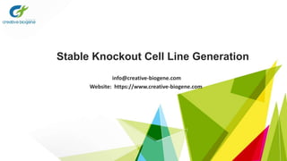 Stable Knockout Cell Line Generation
info@creative-biogene.com
Website: https://www.creative-biogene.com
 