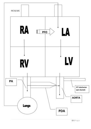 13 | P a g e
IVC & SVC
AORTA
PA
PDA
PFO
RT Subclavian
(pre-ductal)
 