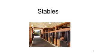 Stables
1
 