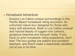  Horseback Adventure
 Explore Los Cabos unique surroundings in this
Pacific Beach horseback riding excursion. An
unhurried nature tour designed for those who
enjoy soft adventure. Bask in Los Cabos unusual
and natural beauty of rugged rock cantons,
gorgeous beaches and tranquil vistas. If you
have no prior horseback riding experience, don't
fear! The tour guides are patient and excellent
teachers, and they'll make a beachside caballero
out of you in no time.
 