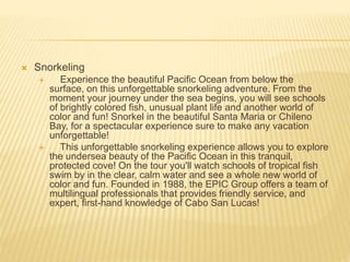  Snorkeling
 Experience the beautiful Pacific Ocean from below the
surface, on this unforgettable snorkeling adventure. From the
moment your journey under the sea begins, you will see schools
of brightly colored fish, unusual plant life and another world of
color and fun! Snorkel in the beautiful Santa Maria or Chileno
Bay, for a spectacular experience sure to make any vacation
unforgettable!
 This unforgettable snorkeling experience allows you to explore
the undersea beauty of the Pacific Ocean in this tranquil,
protected cove! On the tour you'll watch schools of tropical fish
swim by in the clear, calm water and see a whole new world of
color and fun. Founded in 1988, the EPIC Group offers a team of
multilingual professionals that provides friendly service, and
expert, first-hand knowledge of Cabo San Lucas!
 