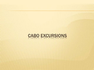 CABO EXCURSIONS
 