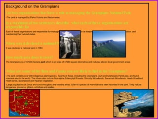 Background on the Grampians List two organisations that have a role in managing the Grampians National Park The park is managed by Parks Victoria and Nature wise. In a maximum of two sentences describe  what each of these organisations are responsible for Each of these organisations are responsible for managing the park in a way such as keeping the parks clean from litter and pollution, and maintaining their natural states. When was it declared a national Park? It was declared a national park in 1984 How much area does it cover? The Grampians is a 167000-hectare  park  which is an area of 47980 square kilometres and includes eleven local government areas  What are some of the flora and Fauna you are likely to find in the Grampians? The park contains over 900 indigenous plant species. Twenty of these, including the Grampians Gum and Grampians Parrot-pea, are found nowhere else in the world. The others also include Sub-alpine,Sclerophyll Forests, Shrubby Woodlands, Savannah Woodlands, Heath Woodland, Heath lands, Swampland and Riparian vegetation.  Large populations of Emus are found throughout the lowland areas. Over 40 species of mammal have been recorded in the park. They include kangaroos, possums, gliders, echidnas and koalas.  