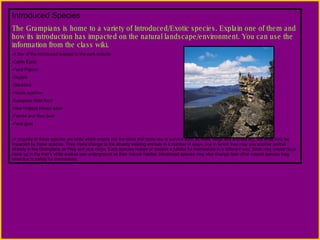Introduced Species The Grampians is home to a variety of Introduced/Exotic species. Explain one of them and how its introduction has impacted on the natural landscape/environment. You can use the information from the class wiki. A few of the introduced species to the park include: Cattle Egret Feral Pigeon Skylark Blackbird House sparrow European Gold finch New Holland Honey eater Farrow and Red deer Feral goat A majority of these species are birds which means not the items that birds use to survive such as trees, twigs and animals ect, are what may be impacted by these species. They make change to the already existing animals in a number of ways, one in which they may use another animal already in the Grampians as Prey and vice versa. Each species makes or creates a habitat for themselves in a different way. Birds may create huge nests up in the tree’s while snakes use underground as their natural habitat. Introduced species may also change how other natural species may exist due to safety for themselves. 