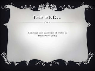 THE END…


Composed from a collection of photos by
        Stacey Pearce (2012)
 