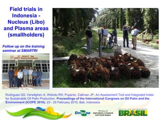 Embrapa’s platform for impact assessment of agricultural technologies and Indicator systems for the environmental management of rural activities 