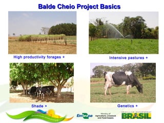 Embrapa’s platform for impact assessment of agricultural technologies and Indicator systems for the environmental management of rural activities 