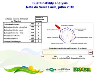 Embrapa’s platform for impact assessment of agricultural technologies and Indicator systems for the environmental management of rural activities 