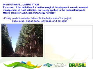 Embrapa’s platform for impact assessment of agricultural technologies and Indicator systems for the environmental management of rural activities 