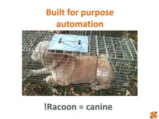 Built for purpose 
automation 
!Racoon = canine 
3 
 