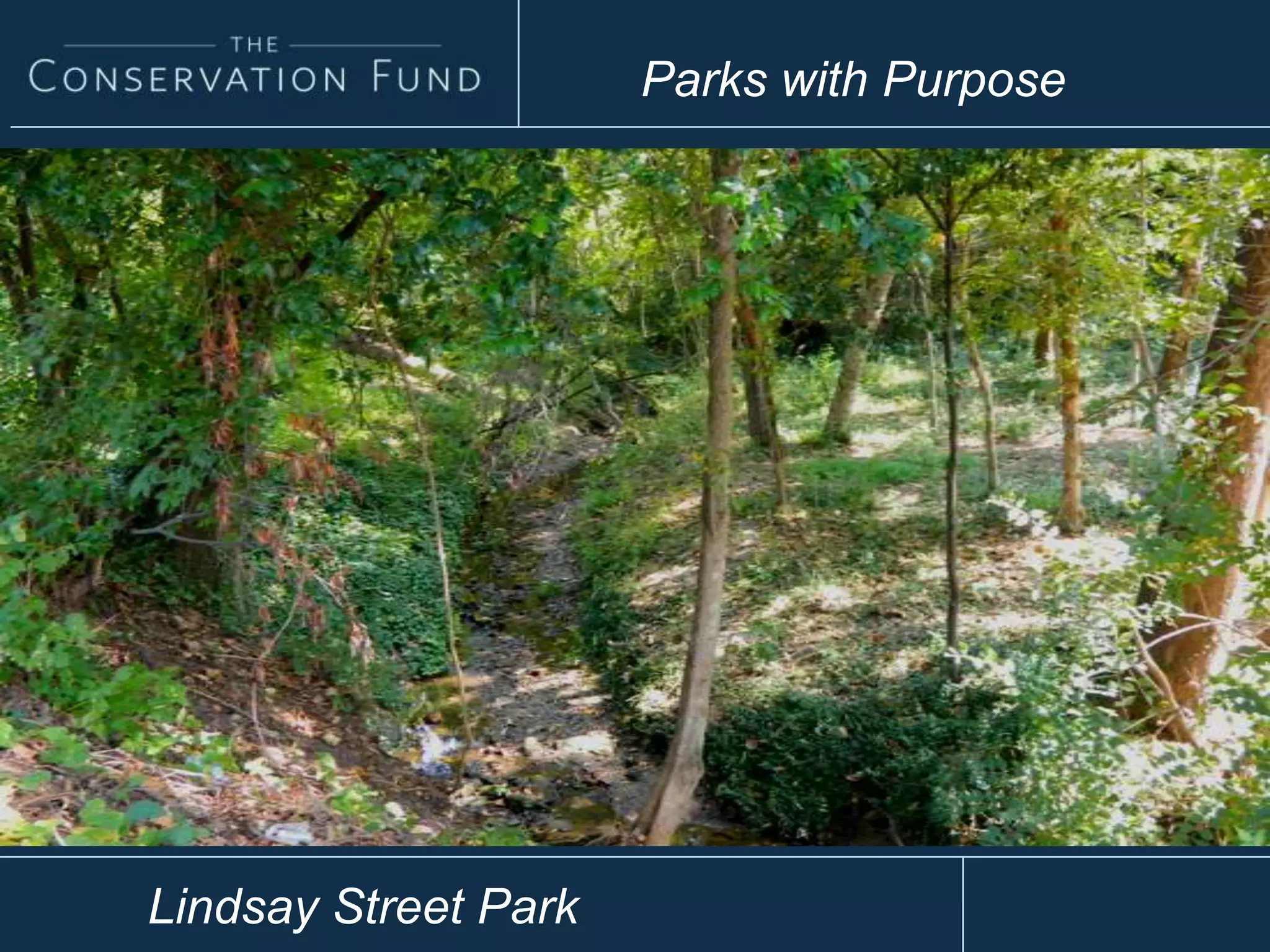 Parks with Purpose
Lindsay Street Park
 