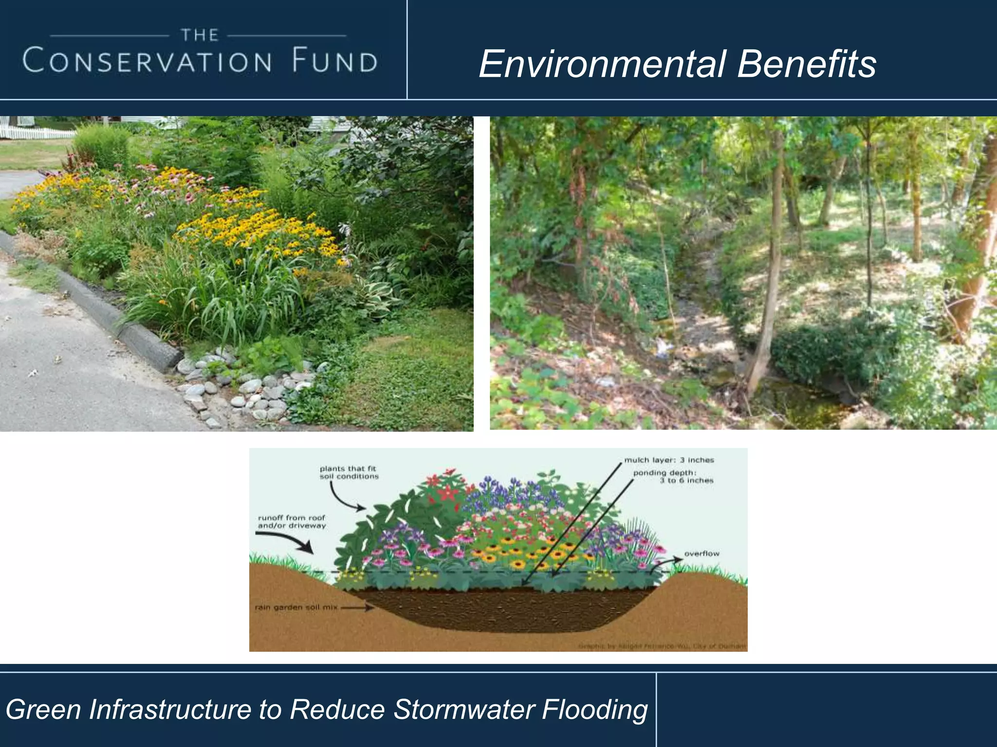 Environmental Benefits
Green Infrastructure to Reduce Stormwater Flooding
 