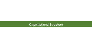 Organizational Structure
 