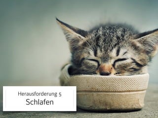 Herausforderung 5

Schlafen

 