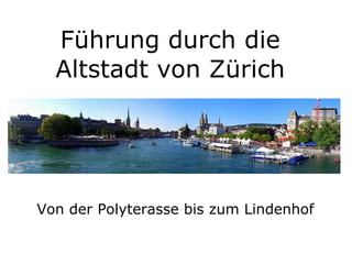 Führung durch die Altstadt von Zürich Von der Polyterasse bis zum Lindenhof 