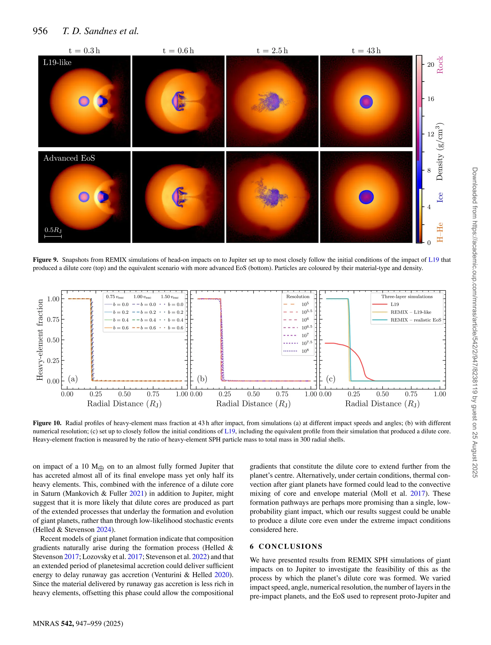 956 T. D. Sandnes et al.
MNRAS 542, 947–959 (2025)
Figure 9. Snapshots from REMIX simulations of head-on impacts on to Jupiter set up to most closely follow the initial conditions of the impact of L19 that
produced a dilute core (top) and the equivalent scenario with more advanced EoS (bottom). Particles are coloured by their material-type and density.
Figure 10. Radial profiles of heavy-element mass fraction at 43 h after impact, from simulations (a) at different impact speeds and angles; (b) with different
numerical resolution; (c) set up to closely follow the initial conditions of L19, including the equivalent profile from their simulation that produced a dilute core.
Heavy-element fraction is measured by the ratio of heavy-element SPH particle mass to total mass in 300 radial shells.
on impact of a 10 M⊕ on to an almost fully formed Jupiter that
has accreted almost all of its final envelope mass yet only half its
heavy elements. This, combined with the inference of a dilute core
in Saturn (Mankovich  Fuller 2021) in addition to Jupiter, might
suggest that it is more likely that dilute cores are produced as part
of the extended processes that underlay the formation and evolution
of giant planets, rather than through low-likelihood stochastic events
(Helled  Stevenson 2024).
Recent models of giant planet formation indicate that composition
gradients naturally arise during the formation process (Helled 
Stevenson 2017; Lozovsky et al. 2017; Stevenson et al. 2022) and that
an extended period of planetesimal accretion could deliver sufficient
energy to delay runaway gas accretion (Venturini  Helled 2020).
Since the material delivered by runaway gas accretion is less rich in
heavy elements, offsetting this phase could allow the compositional
gradients that constitute the dilute core to extend further from the
planet’s centre. Alternatively, under certain conditions, thermal con-
vection after giant planets have formed could lead to the convective
mixing of core and envelope material (Moll et al. 2017). These
formation pathways are perhaps more promising than a single, low-
probability giant impact, which our results suggest could be unable
to produce a dilute core even under the extreme impact conditions
considered here.
6 CONCLUSIONS
We have presented results from REMIX SPH simulations of giant
impacts on to Jupiter to investigate the feasibility of this as the
process by which the planet’s dilute core was formed. We varied
impact speed, angle, numerical resolution, the number of layers in the
pre-impact planets, and the EoS used to represent proto-Jupiter and
Downloaded
from
https://academic.oup.com/mnras/article/542/2/947/8238119
by
guest
on
25
August
2025
 
