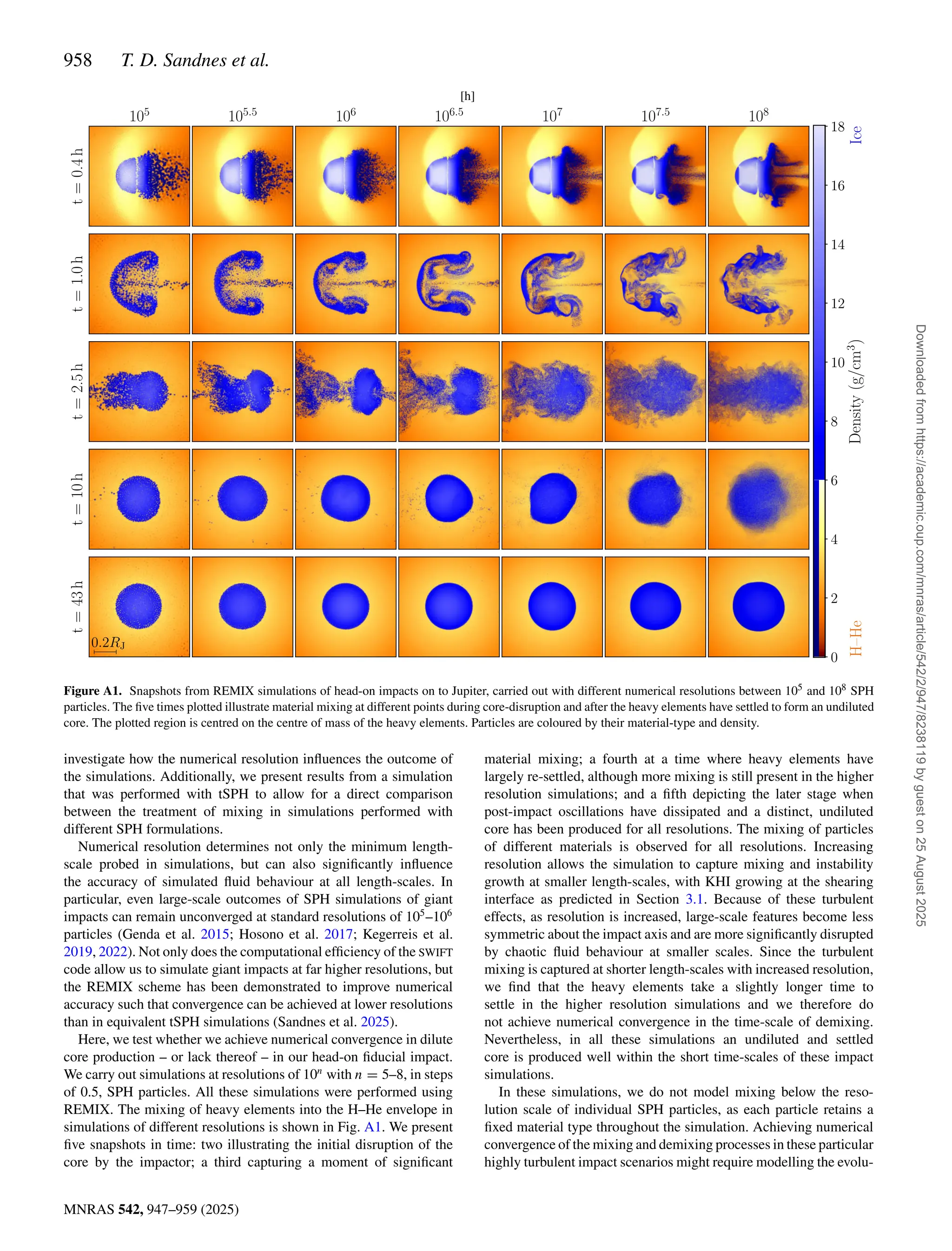 958 T. D. Sandnes et al.
MNRAS 542, 947–959 (2025)
Figure A1. Snapshots from REMIX simulations of head-on impacts on to Jupiter, carried out with different numerical resolutions between 105 and 108 SPH
particles. The five times plotted illustrate material mixing at different points during core-disruption and after the heavy elements have settled to form an undiluted
core. The plotted region is centred on the centre of mass of the heavy elements. Particles are coloured by their material-type and density.
investigate how the numerical resolution influences the outcome of
the simulations. Additionally, we present results from a simulation
that was performed with tSPH to allow for a direct comparison
between the treatment of mixing in simulations performed with
different SPH formulations.
Numerical resolution determines not only the minimum length-
scale probed in simulations, but can also significantly influence
the accuracy of simulated fluid behaviour at all length-scales. In
particular, even large-scale outcomes of SPH simulations of giant
impacts can remain unconverged at standard resolutions of 105
–106
particles (Genda et al. 2015; Hosono et al. 2017; Kegerreis et al.
2019, 2022). Not only does the computational efficiency of the SWIFT
code allow us to simulate giant impacts at far higher resolutions, but
the REMIX scheme has been demonstrated to improve numerical
accuracy such that convergence can be achieved at lower resolutions
than in equivalent tSPH simulations (Sandnes et al. 2025).
Here, we test whether we achieve numerical convergence in dilute
core production – or lack thereof – in our head-on fiducial impact.
We carry out simulations at resolutions of 10n
with n = 5–8, in steps
of 0.5, SPH particles. All these simulations were performed using
REMIX. The mixing of heavy elements into the H–He envelope in
simulations of different resolutions is shown in Fig. A1. We present
five snapshots in time: two illustrating the initial disruption of the
core by the impactor; a third capturing a moment of significant
material mixing; a fourth at a time where heavy elements have
largely re-settled, although more mixing is still present in the higher
resolution simulations; and a fifth depicting the later stage when
post-impact oscillations have dissipated and a distinct, undiluted
core has been produced for all resolutions. The mixing of particles
of different materials is observed for all resolutions. Increasing
resolution allows the simulation to capture mixing and instability
growth at smaller length-scales, with KHI growing at the shearing
interface as predicted in Section 3.1. Because of these turbulent
effects, as resolution is increased, large-scale features become less
symmetric about the impact axis and are more significantly disrupted
by chaotic fluid behaviour at smaller scales. Since the turbulent
mixing is captured at shorter length-scales with increased resolution,
we find that the heavy elements take a slightly longer time to
settle in the higher resolution simulations and we therefore do
not achieve numerical convergence in the time-scale of demixing.
Nevertheless, in all these simulations an undiluted and settled
core is produced well within the short time-scales of these impact
simulations.
In these simulations, we do not model mixing below the reso-
lution scale of individual SPH particles, as each particle retains a
fixed material type throughout the simulation. Achieving numerical
convergence of the mixing and demixing processes in these particular
highly turbulent impact scenarios might require modelling the evolu-
Downloaded
from
https://academic.oup.com/mnras/article/542/2/947/8238119
by
guest
on
25
August
2025
 