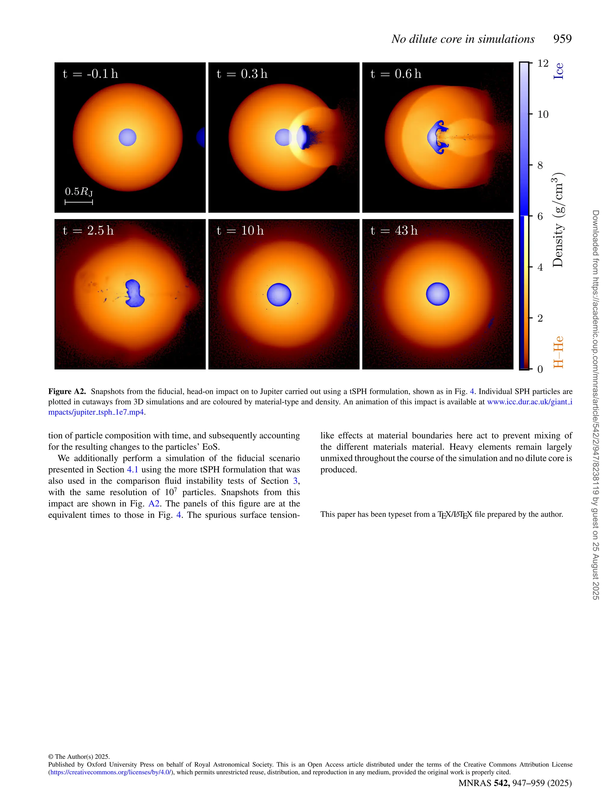 No dilute core in simulations 959
MNRAS 542, 947–959 (2025)
Figure A2. Snapshots from the fiducial, head-on impact on to Jupiter carried out using a tSPH formulation, shown as in Fig. 4. Individual SPH particles are
plotted in cutaways from 3D simulations and are coloured by material-type and density. An animation of this impact is available at www.icc.dur.ac.uk/giant i
mpacts/jupiter tsph 1e7.mp4.
tion of particle composition with time, and subsequently accounting
for the resulting changes to the particles’ EoS.
We additionally perform a simulation of the fiducial scenario
presented in Section 4.1 using the more tSPH formulation that was
also used in the comparison fluid instability tests of Section 3,
with the same resolution of 107
particles. Snapshots from this
impact are shown in Fig. A2. The panels of this figure are at the
equivalent times to those in Fig. 4. The spurious surface tension-
like effects at material boundaries here act to prevent mixing of
the different materials material. Heavy elements remain largely
unmixed throughout the course of the simulation and no dilute core is
produced.
This paper has been typeset from a TEX/L
ATEX file prepared by the author.
© The Author(s) 2025.
Published by Oxford University Press on behalf of Royal Astronomical Society. This is an Open Access article distributed under the terms of the Creative Commons Attribution License
(https://creativecommons.org/licenses/by/4.0/), which permits unrestricted reuse, distribution, and reproduction in any medium, provided the original work is properly cited.
Downloaded
from
https://academic.oup.com/mnras/article/542/2/947/8238119
by
guest
on
25
August
2025
 