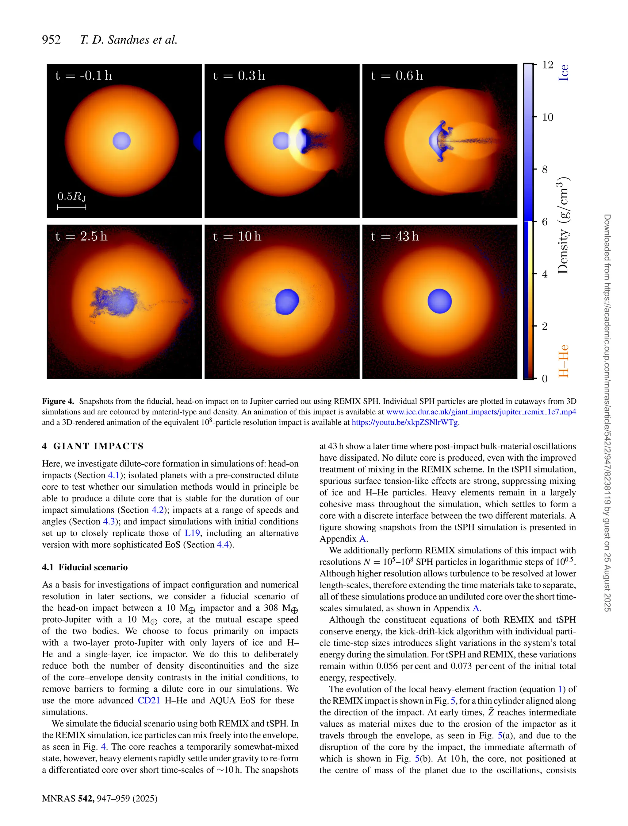 952 T. D. Sandnes et al.
MNRAS 542, 947–959 (2025)
Figure 4. Snapshots from the fiducial, head-on impact on to Jupiter carried out using REMIX SPH. Individual SPH particles are plotted in cutaways from 3D
simulations and are coloured by material-type and density. An animation of this impact is available at www.icc.dur.ac.uk/giant impacts/jupiter remix 1e7.mp4
and a 3D-rendered animation of the equivalent 108-particle resolution impact is available at https://youtu.be/xkpZSNlrWTg.
4 GIANT IMPACTS
Here, we investigate dilute-core formation in simulations of: head-on
impacts (Section 4.1); isolated planets with a pre-constructed dilute
core to test whether our simulation methods would in principle be
able to produce a dilute core that is stable for the duration of our
impact simulations (Section 4.2); impacts at a range of speeds and
angles (Section 4.3); and impact simulations with initial conditions
set up to closely replicate those of L19, including an alternative
version with more sophisticated EoS (Section 4.4).
4.1 Fiducial scenario
As a basis for investigations of impact configuration and numerical
resolution in later sections, we consider a fiducial scenario of
the head-on impact between a 10 M⊕ impactor and a 308 M⊕
proto-Jupiter with a 10 M⊕ core, at the mutual escape speed
of the two bodies. We choose to focus primarily on impacts
with a two-layer proto-Jupiter with only layers of ice and H–
He and a single-layer, ice impactor. We do this to deliberately
reduce both the number of density discontinuities and the size
of the core–envelope density contrasts in the initial conditions, to
remove barriers to forming a dilute core in our simulations. We
use the more advanced CD21 H–He and AQUA EoS for these
simulations.
We simulate the fiducial scenario using both REMIX and tSPH. In
the REMIX simulation, ice particles can mix freely into the envelope,
as seen in Fig. 4. The core reaches a temporarily somewhat-mixed
state, however, heavy elements rapidly settle under gravity to re-form
a differentiated core over short time-scales of ∼10 h. The snapshots
at 43 h show a later time where post-impact bulk-material oscillations
have dissipated. No dilute core is produced, even with the improved
treatment of mixing in the REMIX scheme. In the tSPH simulation,
spurious surface tension-like effects are strong, suppressing mixing
of ice and H–He particles. Heavy elements remain in a largely
cohesive mass throughout the simulation, which settles to form a
core with a discrete interface between the two different materials. A
figure showing snapshots from the tSPH simulation is presented in
Appendix A.
We additionally perform REMIX simulations of this impact with
resolutions N = 105
–108
SPH particles in logarithmic steps of 100.5
.
Although higher resolution allows turbulence to be resolved at lower
length-scales, therefore extending the time materials take to separate,
all of these simulations produce an undiluted core over the short time-
scales simulated, as shown in Appendix A.
Although the constituent equations of both REMIX and tSPH
conserve energy, the kick-drift-kick algorithm with individual parti-
cle time-step sizes introduces slight variations in the system’s total
energy during the simulation. For tSPH and REMIX, these variations
remain within 0.056 per cent and 0.073 per cent of the initial total
energy, respectively.
The evolution of the local heavy-element fraction (equation 1) of
the REMIX impact is shown in Fig. 5, for a thin cylinder aligned along
the direction of the impact. At early times, Z̄ reaches intermediate
values as material mixes due to the erosion of the impactor as it
travels through the envelope, as seen in Fig. 5(a), and due to the
disruption of the core by the impact, the immediate aftermath of
which is shown in Fig. 5(b). At 10 h, the core, not positioned at
the centre of mass of the planet due to the oscillations, consists
Downloaded
from
https://academic.oup.com/mnras/article/542/2/947/8238119
by
guest
on
25
August
2025
 