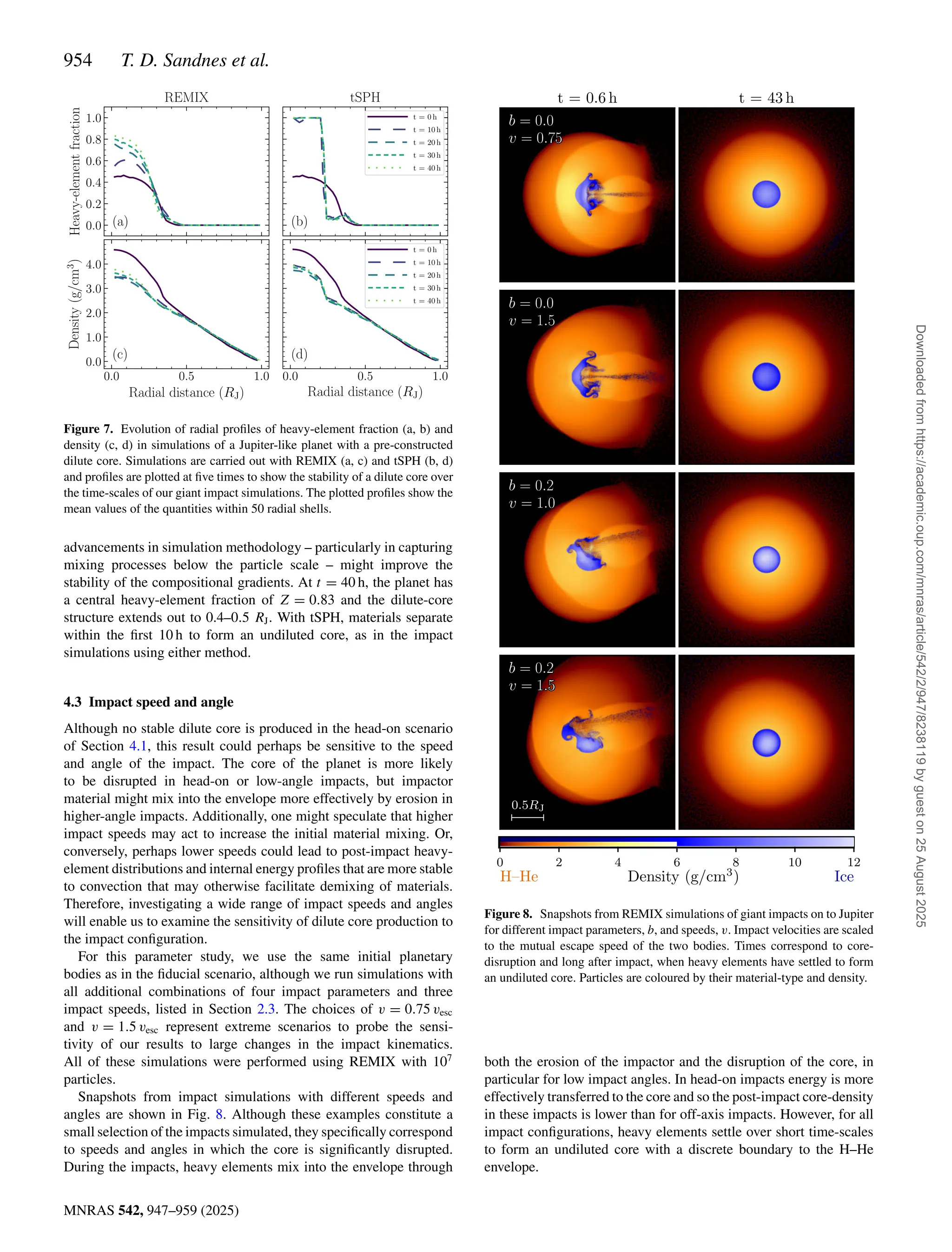 954 T. D. Sandnes et al.
MNRAS 542, 947–959 (2025)
Figure 7. Evolution of radial profiles of heavy-element fraction (a, b) and
density (c, d) in simulations of a Jupiter-like planet with a pre-constructed
dilute core. Simulations are carried out with REMIX (a, c) and tSPH (b, d)
and profiles are plotted at five times to show the stability of a dilute core over
the time-scales of our giant impact simulations. The plotted profiles show the
mean values of the quantities within 50 radial shells.
advancements in simulation methodology – particularly in capturing
mixing processes below the particle scale – might improve the
stability of the compositional gradients. At t = 40 h, the planet has
a central heavy-element fraction of Z = 0.83 and the dilute-core
structure extends out to 0.4–0.5 RJ. With tSPH, materials separate
within the first 10 h to form an undiluted core, as in the impact
simulations using either method.
4.3 Impact speed and angle
Although no stable dilute core is produced in the head-on scenario
of Section 4.1, this result could perhaps be sensitive to the speed
and angle of the impact. The core of the planet is more likely
to be disrupted in head-on or low-angle impacts, but impactor
material might mix into the envelope more effectively by erosion in
higher-angle impacts. Additionally, one might speculate that higher
impact speeds may act to increase the initial material mixing. Or,
conversely, perhaps lower speeds could lead to post-impact heavy-
element distributions and internal energy profiles that are more stable
to convection that may otherwise facilitate demixing of materials.
Therefore, investigating a wide range of impact speeds and angles
will enable us to examine the sensitivity of dilute core production to
the impact configuration.
For this parameter study, we use the same initial planetary
bodies as in the fiducial scenario, although we run simulations with
all additional combinations of four impact parameters and three
impact speeds, listed in Section 2.3. The choices of v = 0.75 vesc
and v = 1.5 vesc represent extreme scenarios to probe the sensi-
tivity of our results to large changes in the impact kinematics.
All of these simulations were performed using REMIX with 107
particles.
Snapshots from impact simulations with different speeds and
angles are shown in Fig. 8. Although these examples constitute a
small selection of the impacts simulated, they specifically correspond
to speeds and angles in which the core is significantly disrupted.
During the impacts, heavy elements mix into the envelope through
Figure 8. Snapshots from REMIX simulations of giant impacts on to Jupiter
for different impact parameters, b, and speeds, v. Impact velocities are scaled
to the mutual escape speed of the two bodies. Times correspond to core-
disruption and long after impact, when heavy elements have settled to form
an undiluted core. Particles are coloured by their material-type and density.
both the erosion of the impactor and the disruption of the core, in
particular for low impact angles. In head-on impacts energy is more
effectively transferred to the core and so the post-impact core-density
in these impacts is lower than for off-axis impacts. However, for all
impact configurations, heavy elements settle over short time-scales
to form an undiluted core with a discrete boundary to the H–He
envelope.
Downloaded
from
https://academic.oup.com/mnras/article/542/2/947/8238119
by
guest
on
25
August
2025
 