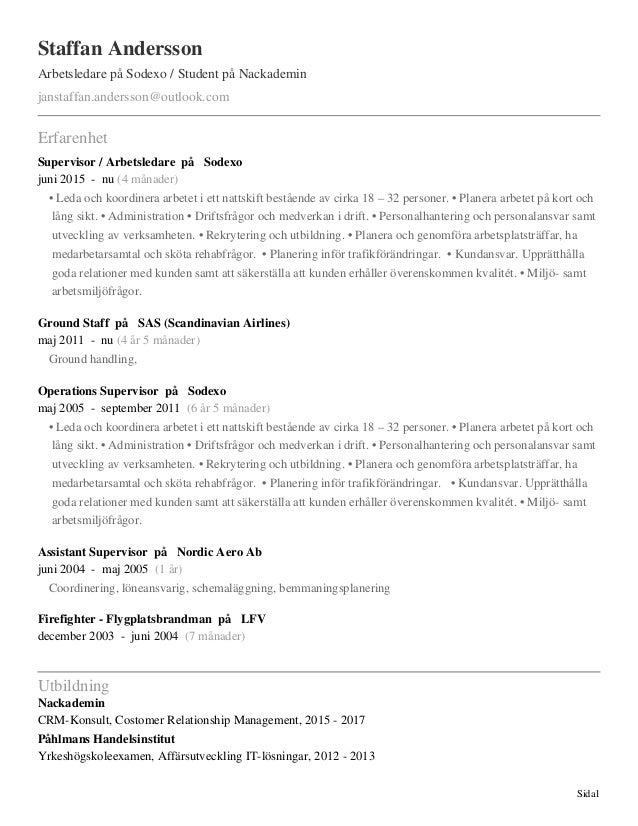 Curriculum vitae examples pdf picture