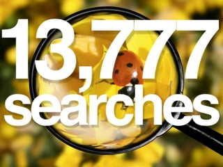 13,777 searches
