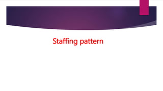 Staffing pattern
 