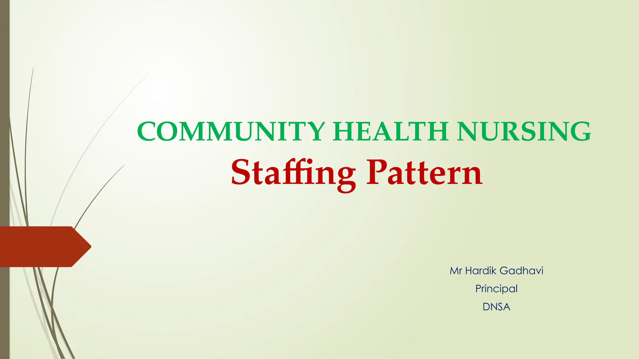 Staffing Pattern
Mr Hardik Gadhavi
Principal
DNSA
COMMUNITY HEALTH NURSING
 