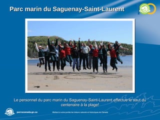 Parc marin du Saguenay-Saint-Laurent Le personnel du parc marin du Saguenay-Saint-Laurent effectue le saut du centenaire à la plage! 